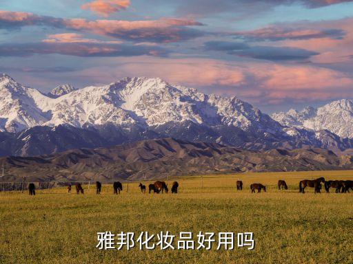 上海家化發布會,平安為什么賣掉上海家化