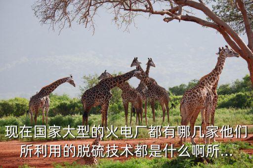 現在國家大型的火電廠都有哪幾家他們所利用的脫硫技術都是什么啊所...