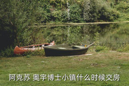 阿克蘇 奧宇博士小鎮什么時候交房