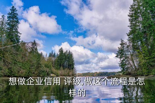 想做企業信用 評級,做這個流程是怎樣的
