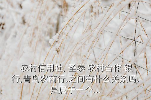  農村信用社, 圣泰 農村合作 銀行,青島農商行,之間有什么關系嗎,是屬于一個...