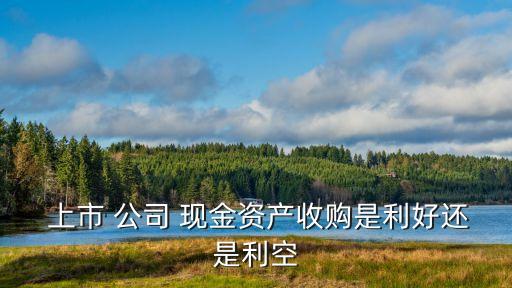 上市公司可以收現金嗎,持有現金最多的上市公司
