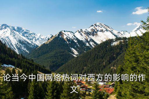 外媒中國大媽,中國大媽的經典描述