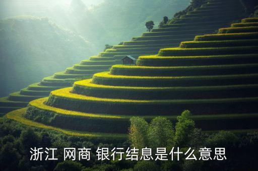 網商銀行貸款利息,網商貸借款10000多少錢一天