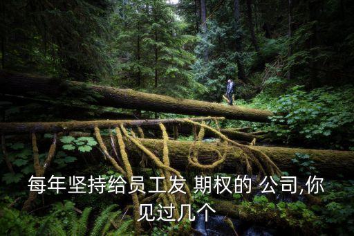 每年堅持給員工發 期權的 公司,你見過幾個