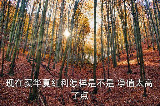 現在買華夏紅利怎樣是不是 凈值太高了點