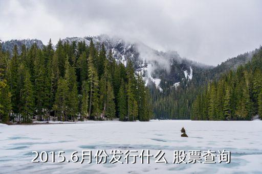 2015.6月份發行什么 股票查詢