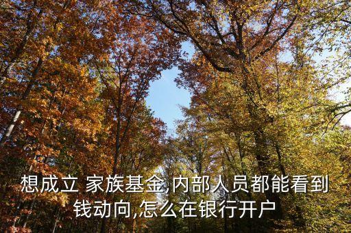 想成立 家族基金,內部人員都能看到錢動向,怎么在銀行開戶