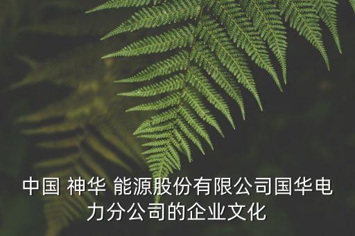 神華國網能源集團,新疆神華能源集團有限公司