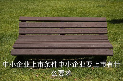 小公司發行股票,公司發行股票數量如何確定
