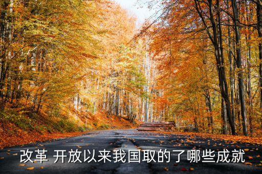 改革 開放以來我國取的了哪些成就