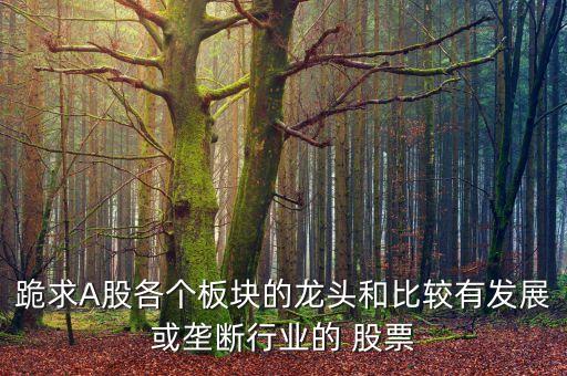 跪求A股各個板塊的龍頭和比較有發展或壟斷行業的 股票