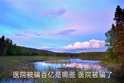  醫院被騙百億是哪些 醫院被騙了