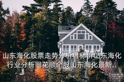 山東海化股票走勢分析目標價山東海化行業(yè)分析同花順個股山東海化最新...
