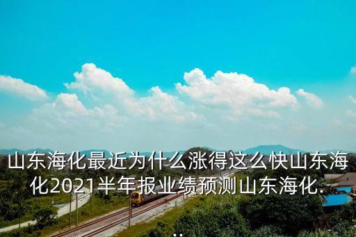 純堿行業上市公司,生產純堿的龍頭上市公司
