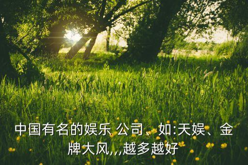 中國有名的娛樂 公司、如:天娛、金牌大風,,,越多越好