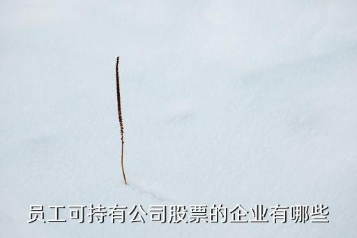 員工可持有公司股票的企業有哪些