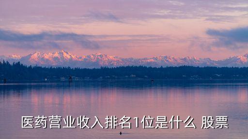 醫藥營業收入排名1位是什么 股票