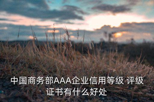 中國商務部AAA企業信用等級 評級證書有什么好處