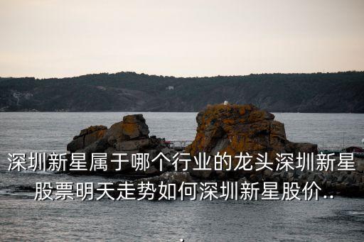 深圳新星屬于哪個行業的龍頭深圳新星 股票明天走勢如何深圳新星股價...