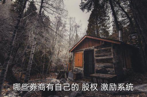 實施股權激勵的公司