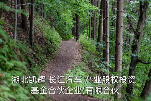 長江產業帶基金,長江濱江產業帶
