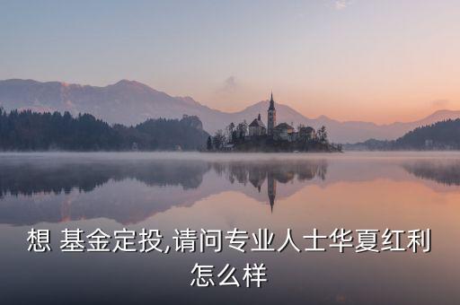 想 基金定投,請問專業人士華夏紅利怎么樣