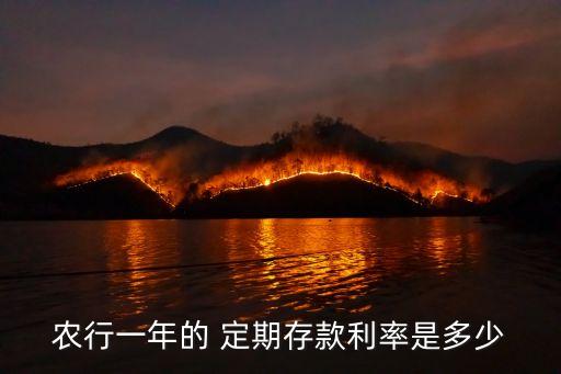 農業銀行按定期計利