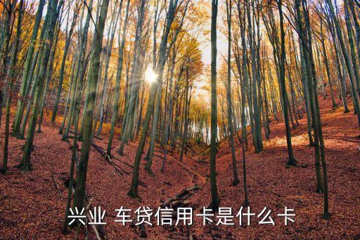  興業 車貸信用卡是什么卡