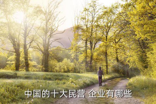 中國的十大民營 企業有哪些