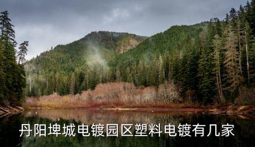丹陽埤城電鍍園區塑料電鍍有幾家