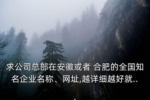 求公司總部在安徽或者 合肥的全國知名企業名稱、網址,越詳細越好就...