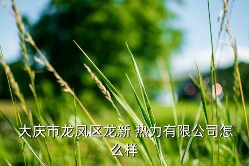 大慶熱力集團總經理,北京首創熱力集團總經理