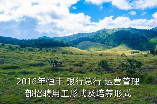 2016年恒豐 銀行總行 運營管理部招聘用工形式及培養形式