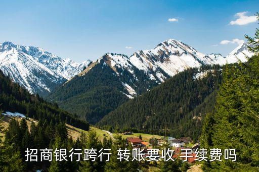 招商銀行轉賬的手續費多少
