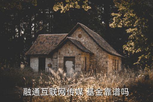 融通互聯網傳媒 基金靠譜嗎