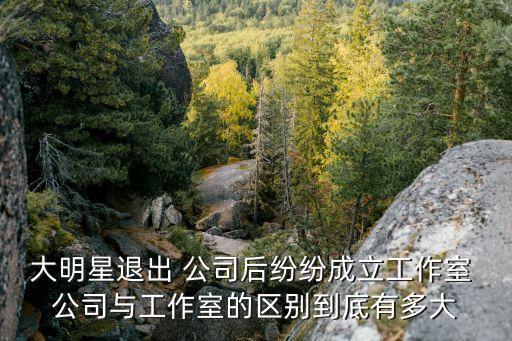 大明星退出 公司后紛紛成立工作室 公司與工作室的區別到底有多大