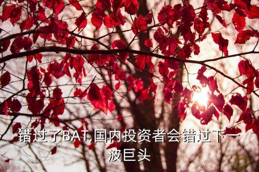 錯過了BAT,國內投資者會錯過下一波巨頭