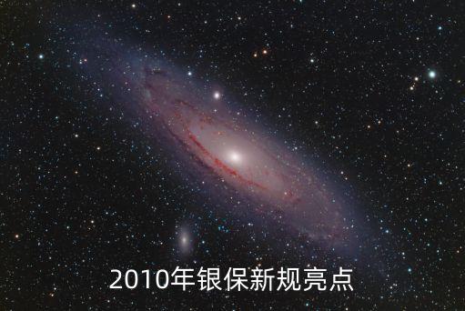 2010年銀保新規亮點