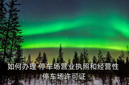 如何辦理 停車場營業執照和經營性 停車場許可證