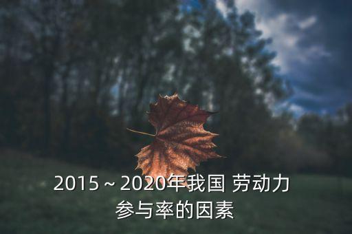 中國勞動力參與率數據,影響勞動力參與率的因素有哪些