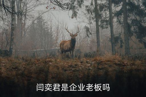 南京賽世實業發展有限公司董事長