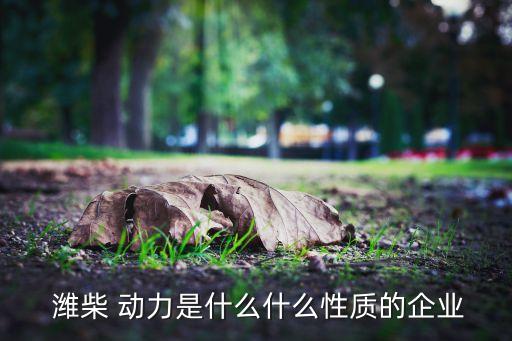  濰柴 動力是什么什么性質的企業