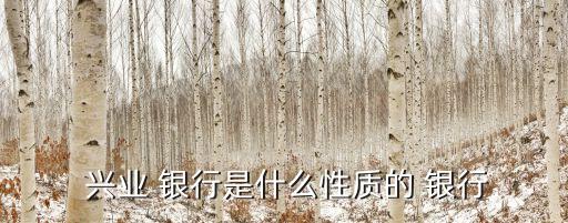  興業 銀行是什么性質的 銀行