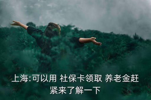 上海市社保養老金