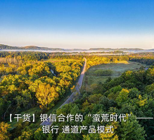 【干貨】銀信合作的“蠻荒時代”—— 銀行 通道產品模式