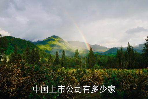 中國有多少企業
