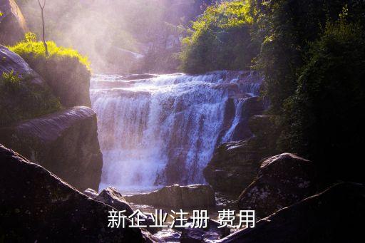 新企業注冊 費用