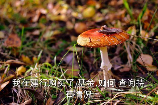 我在建行購(gòu)買了 基金,如何 查詢持有情況