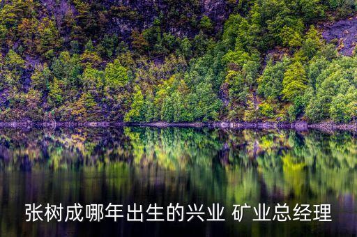 張樹成哪年出生的興業 礦業總經理